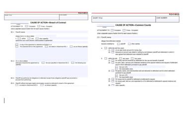 Causes of Action - Consumer Debt